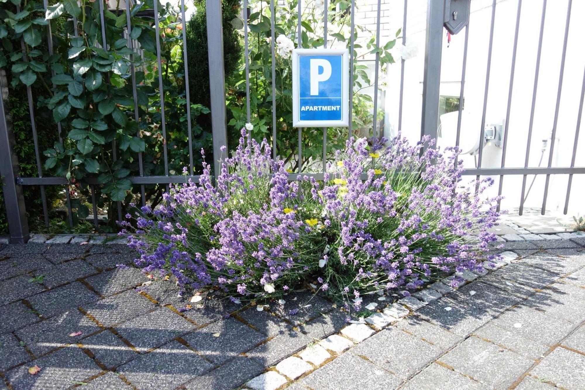 Fewo Emma Overath Buitenkant foto